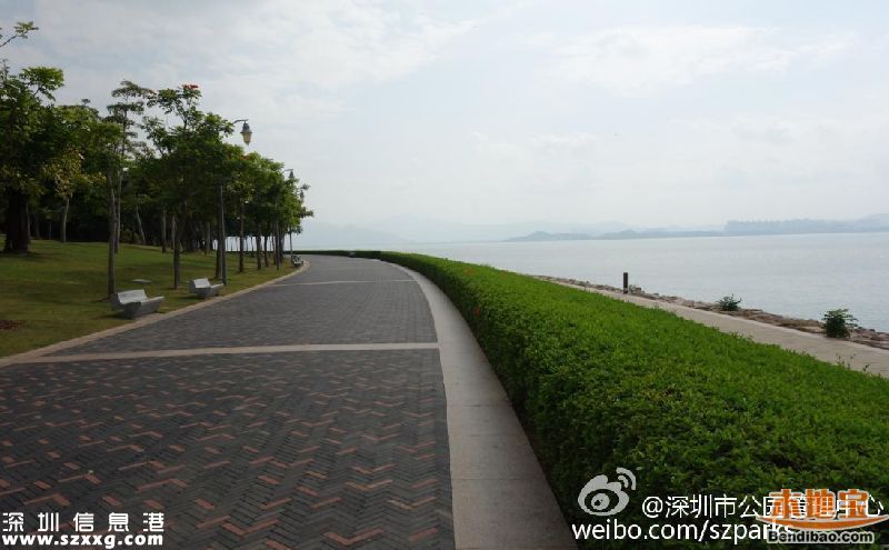 深圳灣公園人車混行怎么治？或增建7座橋