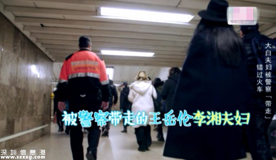 李湘被警察帶走 語言不通當(dāng)場就懵圈網(wǎng)友稱真不容易
