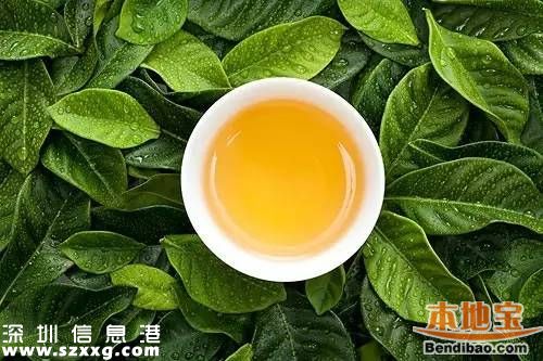 2016深圳茶博會21日于體育館開幕 持續(xù)到25日 