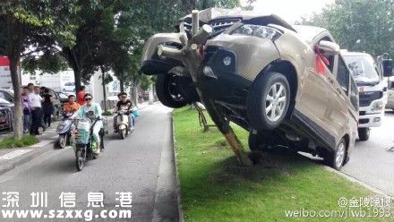 新手司機(jī)將車開(kāi)上樹(shù) 新手開(kāi)車十大禁忌
