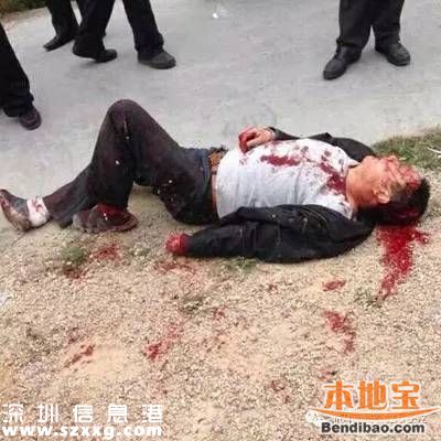 <a href=http://www.huhuzc.cn/shenzhen/ target=_blank class=infotextkey>深圳</a>偷狗賊殘忍手段令人發(fā)指 警方鳴槍示警
