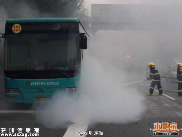 <a href=http://www.huhuzc.cn/shenzhen/ target=_blank class=infotextkey>深圳</a>公交整治行動啟動 從三方面出重拳