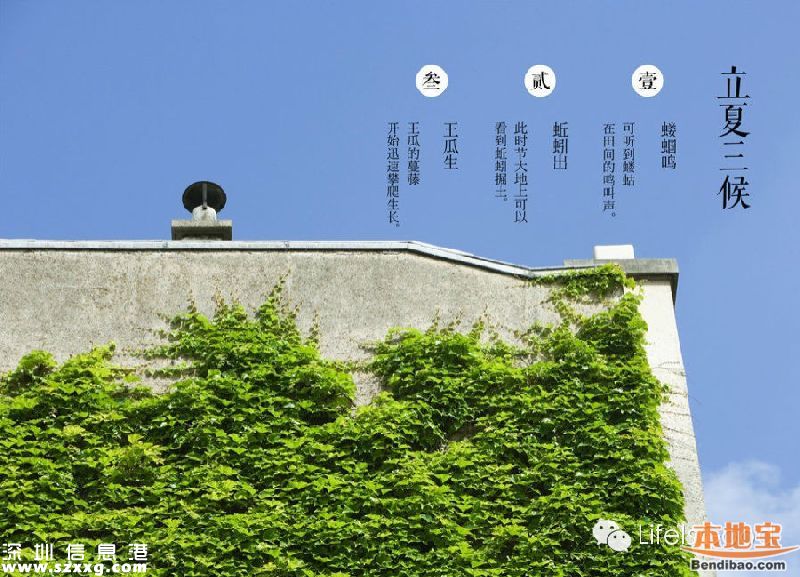 今日立夏 立夏三候是什么意思？