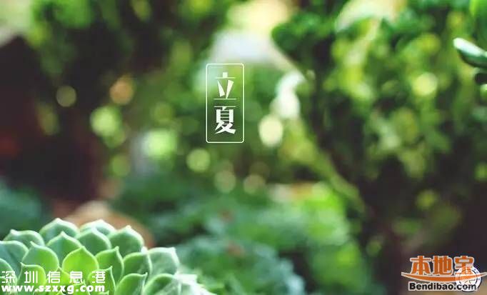 立夏如何養(yǎng)生 立夏養(yǎng)生從哪些方面？