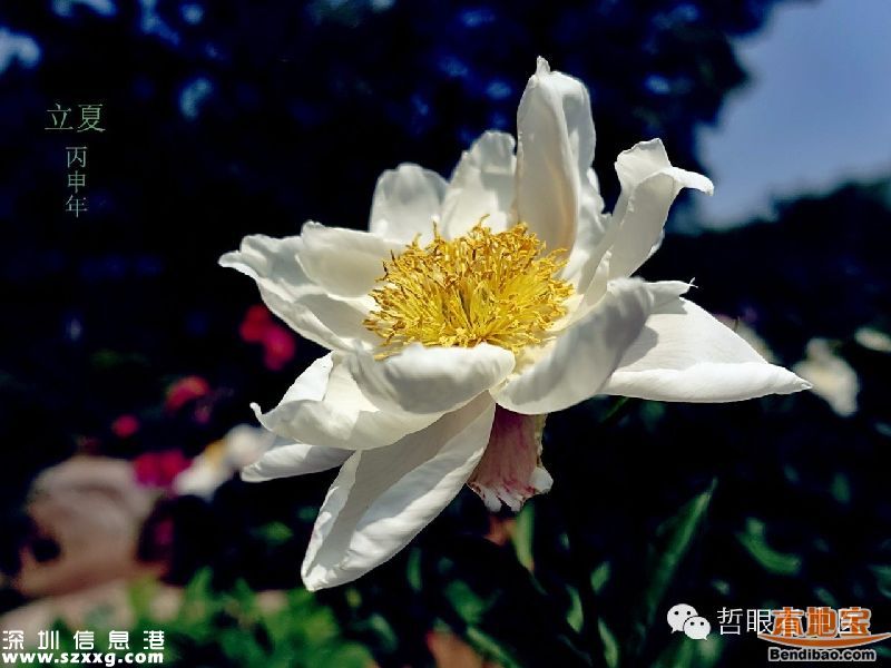 立夏如何養(yǎng)生 立夏養(yǎng)生從哪些方面？