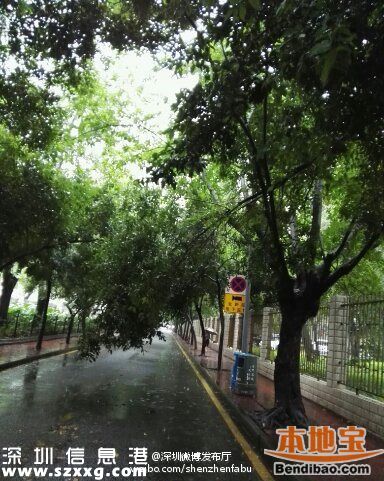 <a href=http://www.huhuzc.cn/shenzhen/ target=_blank class=infotextkey>深圳</a>降雨還將持續(xù)3小時(shí) 多路段被淹(圖)