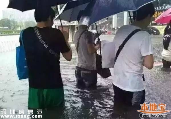 深圳龍舟水預(yù)計在5月中下旬 什么是龍舟水？