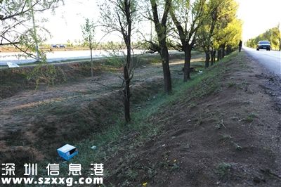 山西朔州市毛皂村，一名綁匪被擊斃在這棵小樹旁。