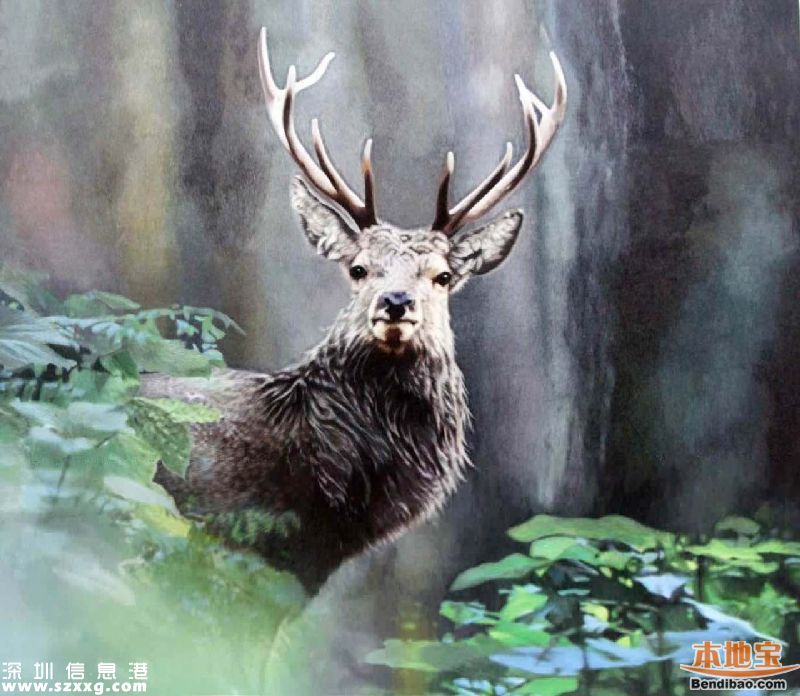 第十二屆文博會獎項揭曉 深圳3件作品獲特別金獎