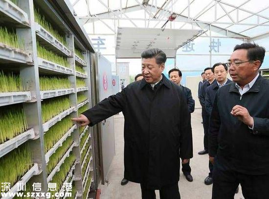 習(xí)近平登上中俄邊界黑瞎子島:保護生態(tài) 留一張白紙