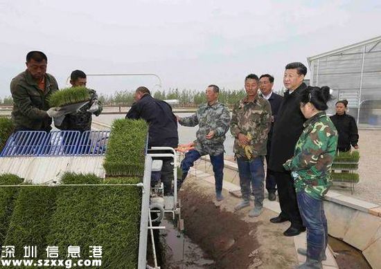 習(xí)近平登上中俄邊界黑瞎子島:保護生態(tài) 留一張白紙
