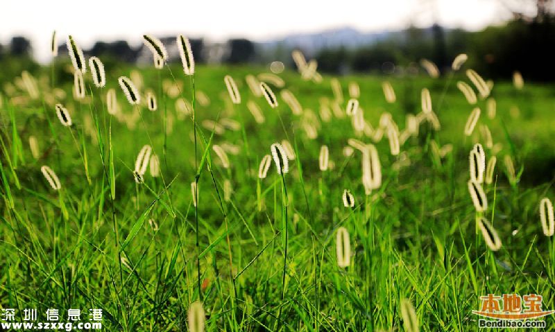 羅湖體育休閑公園門票價格(收費情況)