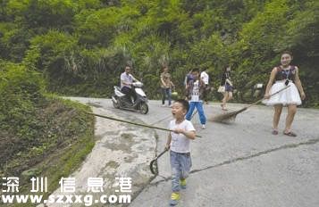 都江堰上百條放生蛇“上街”，