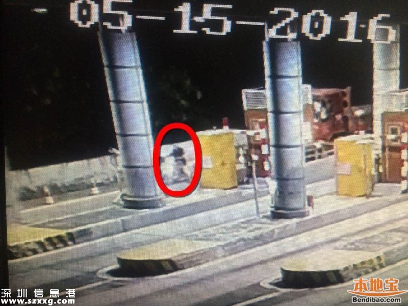 6旬老人騎電動車上高速被撞飛身亡 負(fù)主要責(zé)任