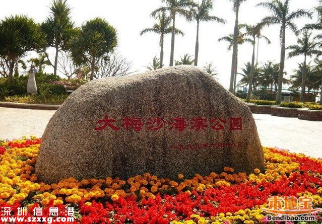 端午大梅沙限時限量 注意開放時間和天氣情況