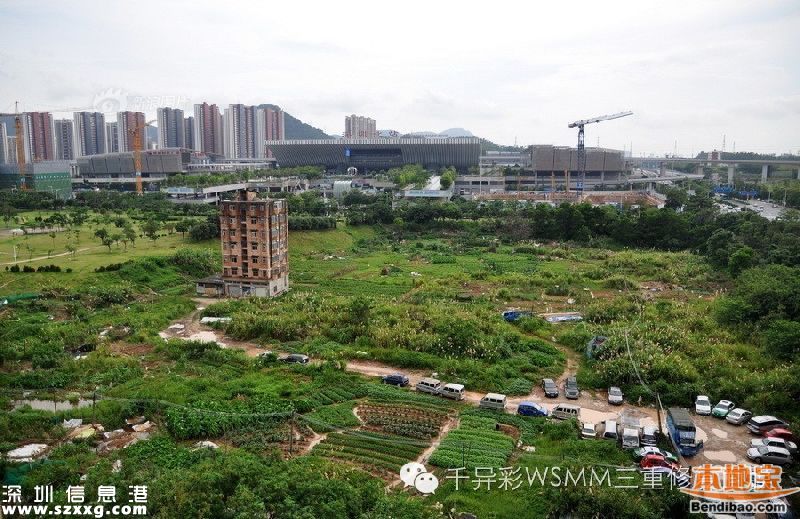 深圳最牛釘子戶(hù)是誰(shuí)？為何拒2000萬(wàn)補(bǔ)償？