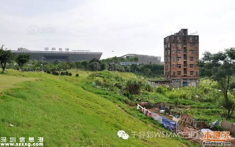 深圳最牛釘子戶(hù)是誰(shuí)？為何拒2000萬(wàn)補(bǔ)償？