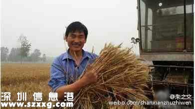 朱之文頂烈日干活 曾紅極一時的大衣哥今安在?。? style=