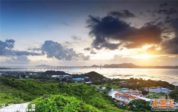 2020年南山發(fā)展成啥樣？GDP或達(dá)5500億