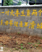 湖南現(xiàn)二胎宣傳手寫標語走紅網(wǎng)絡