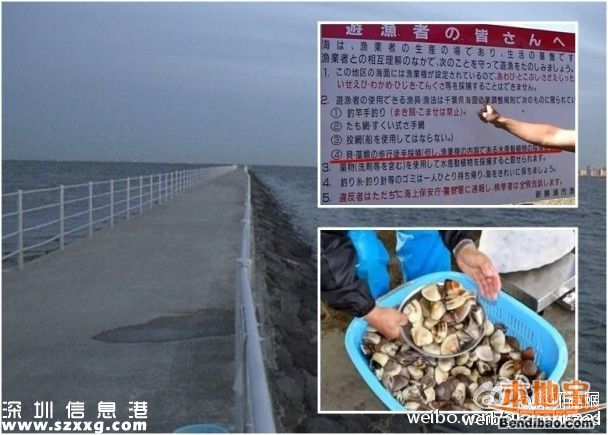 日本男子為救中國(guó)人溺水遇難 網(wǎng)友:愛(ài)不分國(guó)界