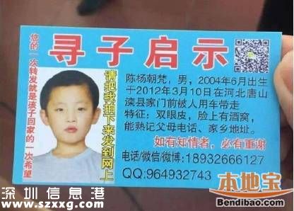 陳新剛尋子真相是什么？