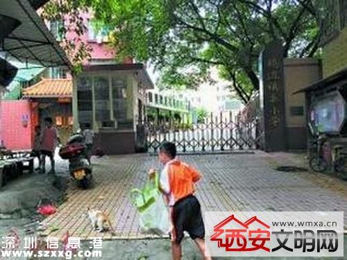 小學(xué)現(xiàn)惡臭籃球場 教育局回應(yīng)稱施工單位說產(chǎn)品沒問題