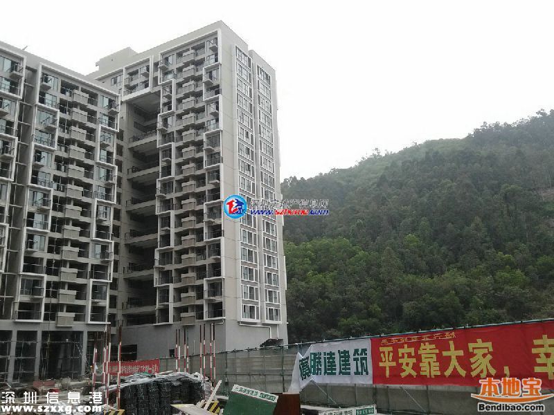 深圳龍瑞佳園公租房初審結果公示 合格28476戶名單