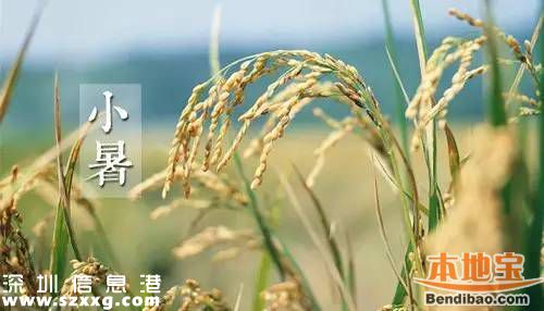 小暑養(yǎng)生過5關 從最簡單的事情做起