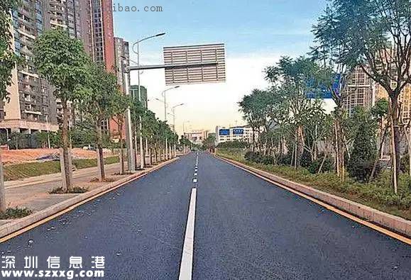 龍華交通治理組合拳 居民出行更方便啦!