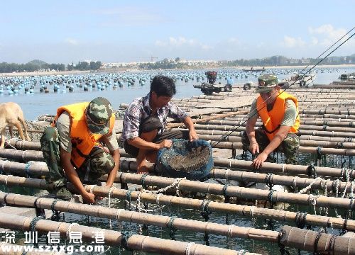 福建嚴(yán)防臺風(fēng)侵襲 武警及消防員已經(jīng)全部奔赴各地支援