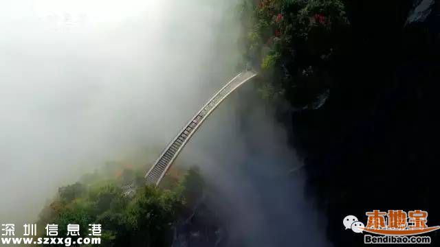 神農(nóng)架申遺成功 中國有哪些世界遺產(chǎn)項目？