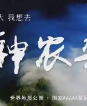 神農(nóng)架申遺成功 中國(guó)有哪些世界遺產(chǎn)項(xiàng)目？