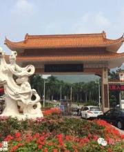 仙湖周六免票舉行開(kāi)放日活動(dòng)