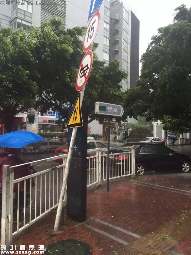 妮妲臺風給深圳留下了什么？1313棵樹被摧毀