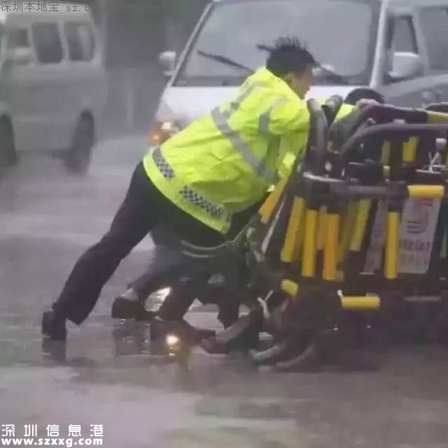 妮妲臺風給深圳留下了什么？1313棵樹被摧毀