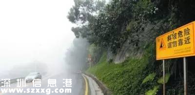 臺風(fēng)中1313棵樹被摧毀 倒伏的樹木如何處置？