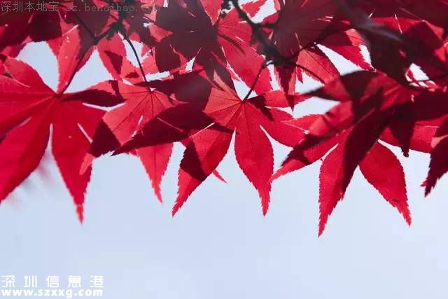 立秋是什么意思？立秋三候是啥？