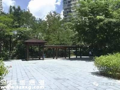 <a href=http://www.huhuzc.cn/shenzhen/ target=_blank class=infotextkey>深圳</a>下半年有啥好消息?來在這看