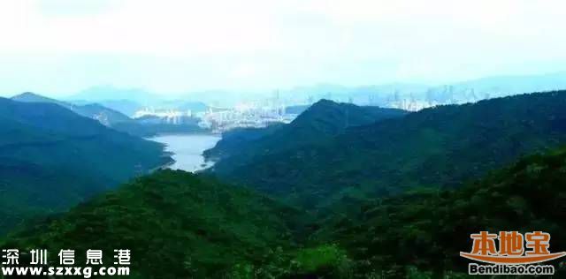 深圳地鐵7號線洪湖站實景圖曝光 吃喝玩樂最牛線