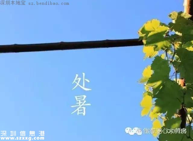 處暑是什么意思？代表什么？