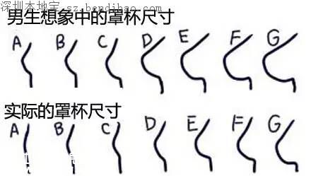 全球女性胸部地圖 為啥亞洲女性胸部??？