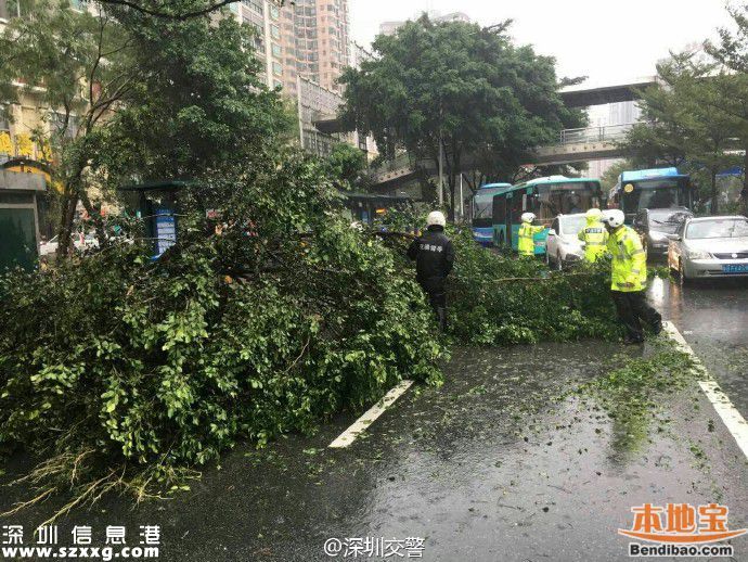 臺風海馬威力有多大？臺風下的深圳街頭