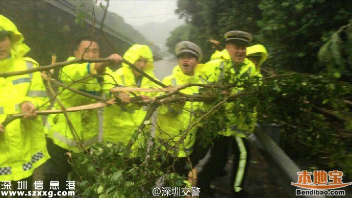 臺風海馬威力有多大？臺風下的深圳街頭