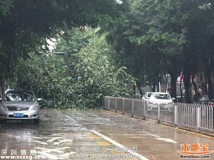 臺風海馬威力有多大？臺風下的深圳街頭
