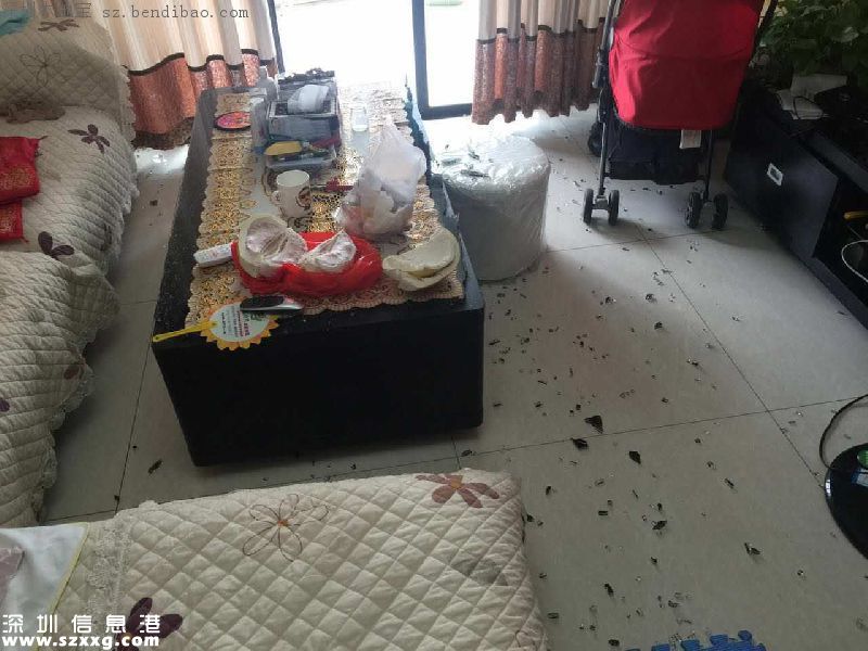 深圳市民家中茶幾突然爆炸 如何預防鋼化玻璃爆炸？