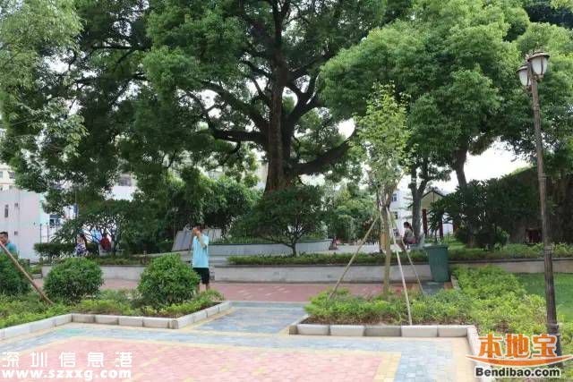 <a href=http://www.huhuzc.cn/shenzhen/ target=_blank class=infotextkey>深圳</a>觀(guān)湖6個(gè)街心公園開(kāi)建 預(yù)計(jì)年底前可使用