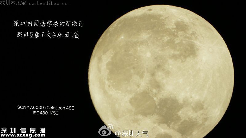 深圳網(wǎng)友曬自己拍的超級(jí)月亮 大寫的服！
