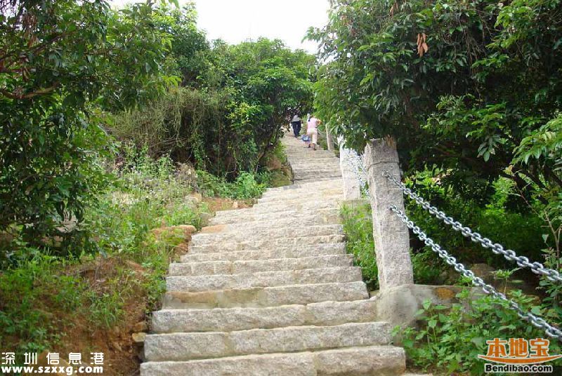 深圳仙湖植物園、塘朗山郊野公園 2公園禁止車輛通行