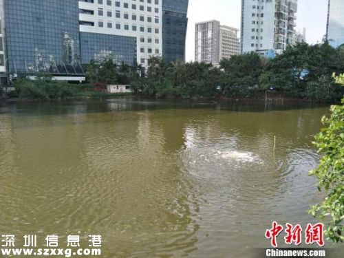2018推行河長制 什么是河長制？（全文）